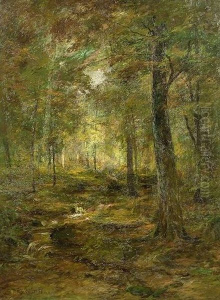 The Heart Of The Woods - view 1