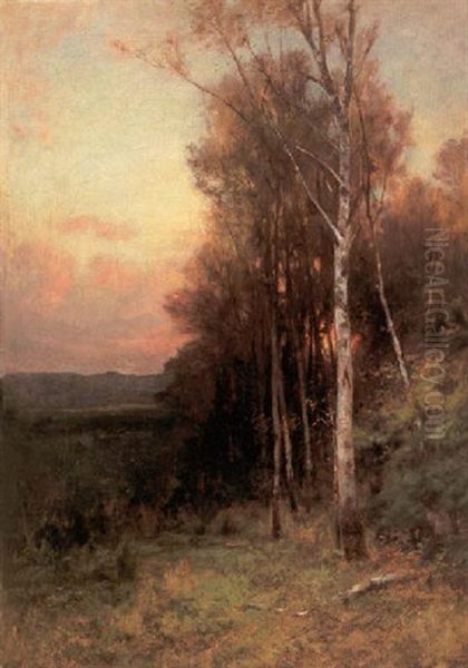 Sunset Through The Trees - view 1