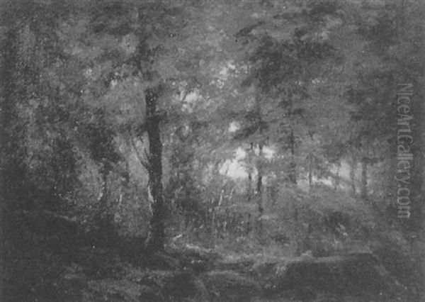 Forest Clearing - view 1