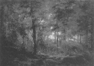 Forest Clearing Forest Clearing