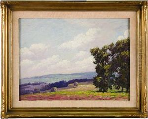 Sunny Landscape by Andrew T. Shwartz