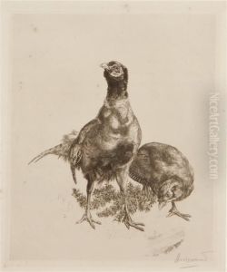 Coupe De Faisons by Felix Bracquemond