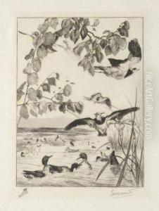Vanneaux Et Sarcelles by Felix Bracquemond