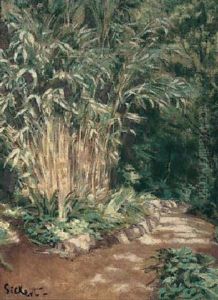 Bamboo In The Shadows