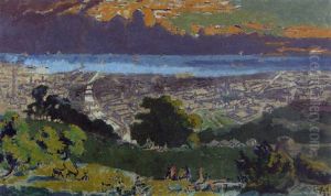 Dublin From Phoenix Park