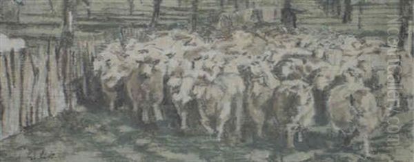 All We Like Sheep - view 1