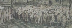 All We Like Sheep All We Like Sheep