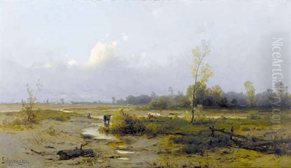 Weite Landschaft - view 1