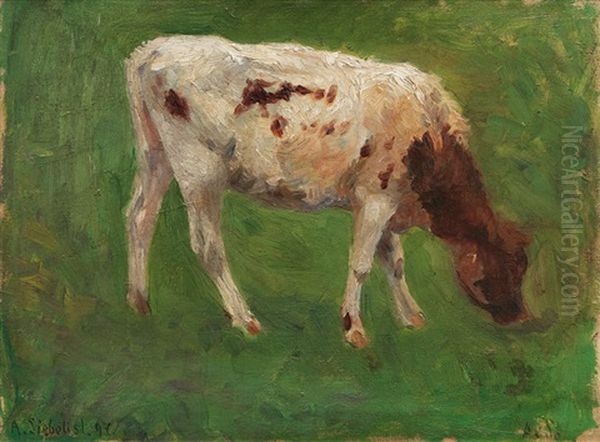 Grazing Calf - view 1