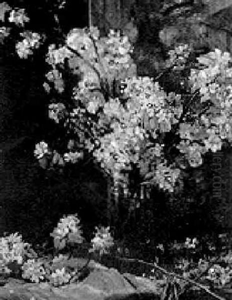 Cherry Blossoms - view 1
