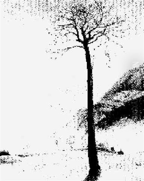 Ein Vogelbeerbaum - view 1