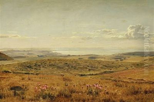 Landskab. Motiv Fra Masnedsund - view 1