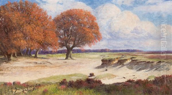 Herbsttag Am Rande Der Heide - view 1