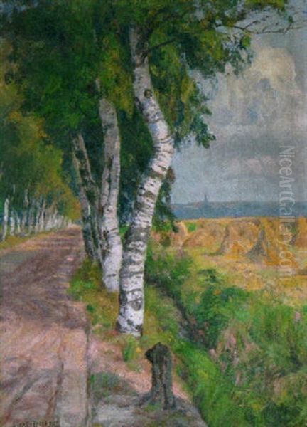Birkenallee Im Spatsommer - view 1