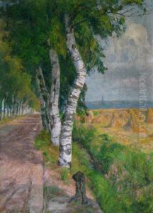 Birkenallee Im Spatsommer