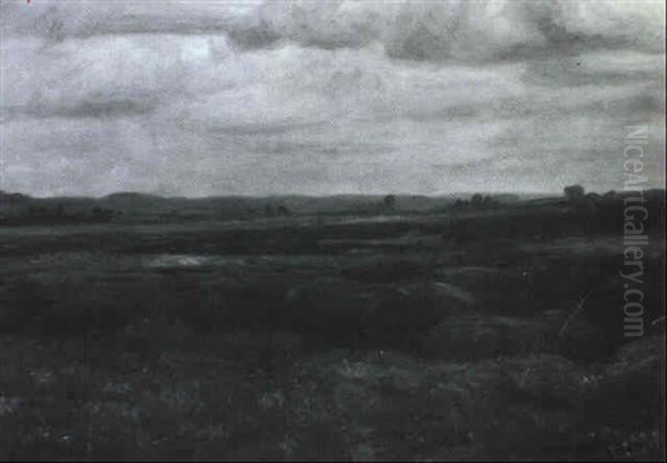 Weite Heidelandschaft - view 1