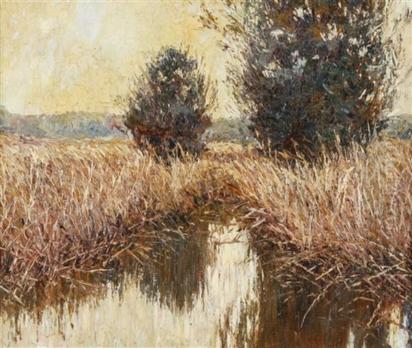 Moorlandschaft - view 1