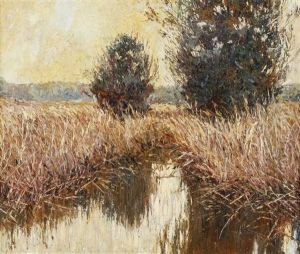 Moorlandschaft by Rolf Sigurd