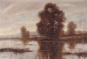 Morgenstimmung In Der Lobau by Rolf Sigurd