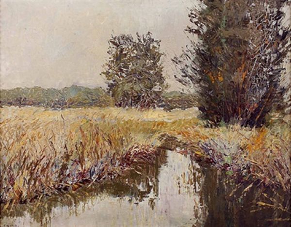Aulandschaft - view 1