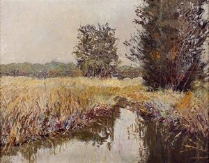 Aulandschaft by Rolf Sigurd
