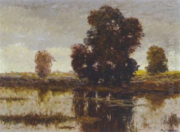 Donau Au - view 1
