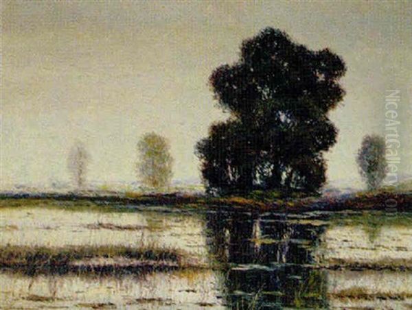 Morgenstimmung An Der Alten Donau - view 1