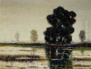 Morgenstimmung An Der Alten Donau by Rolf Sigurd