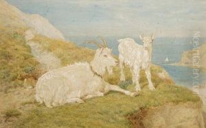 On The Cliffs by Basil Bradley