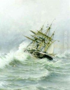 I Kamp Mot Elementen by Herman Gustav af Sillen