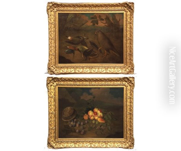 Still Life Studies Of Birds; And Mixed Fruit With Butterfly And Basket (a Pair) - view 1