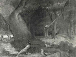 Numerous And Various Species Of Pheasant In A Landscape Numerous And Various Species Of Pheasant In A Landscape