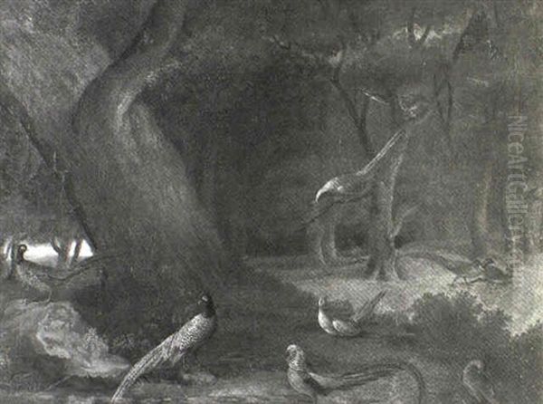 Numerous Species On Pheasant In A Landscape - view 1