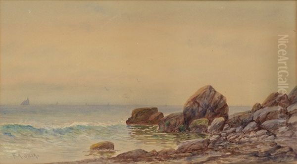 View Of A Rocky Coastline - view 1
