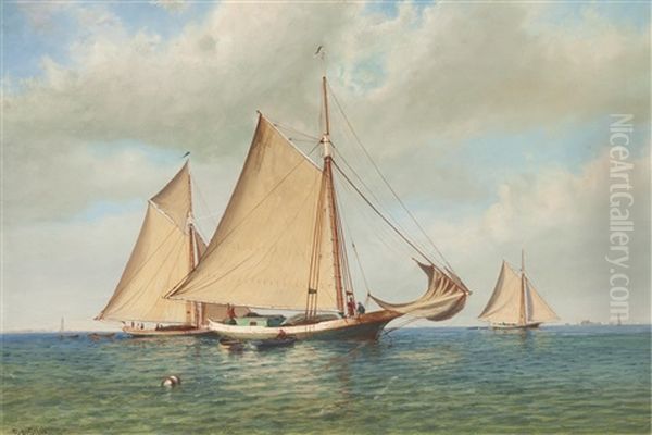 Three Gaff Rigged Sloops In A Bay - view 1