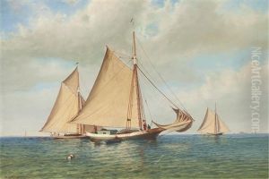 Three Gaff Rigged Sloops In A Bay