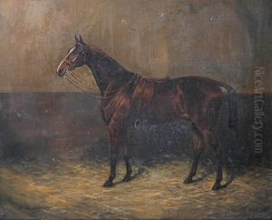 'lord John' - Horse In A Loose Box