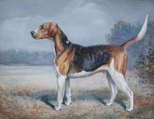 Vaulter - The Property Of The Duke Ofbeaufort, 1st Prize Stud Hound, Peterborough by Cuthbert Bradley