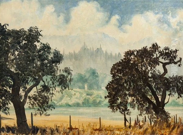 Trees Along A Pond - view 1