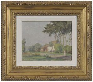 Southern Pines In A Georgia Landscape