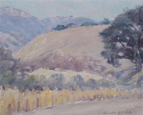 Spring Flowers, Carmel Valley - view 1