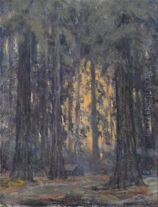 Redwoods Near Ben Bow
