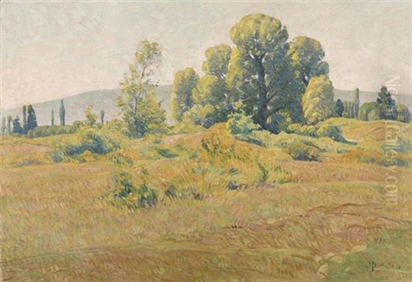Paysage - view 1