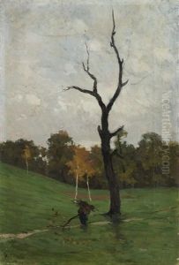 Paesaggio Con Albero Spoglio