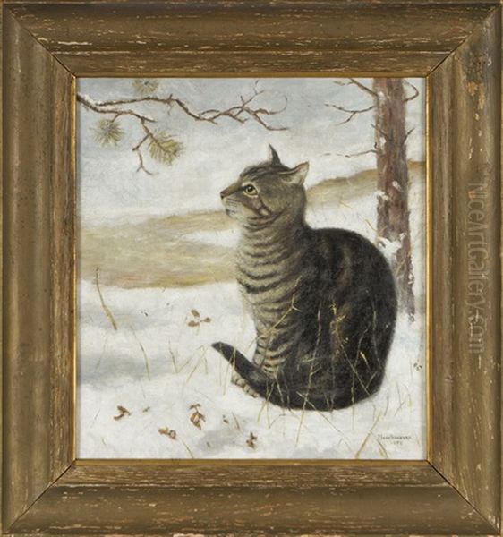 Cat - view 1