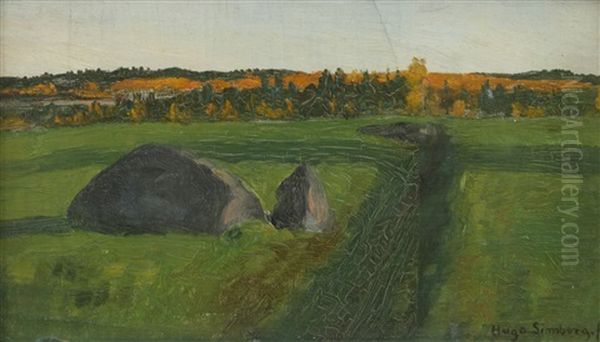 Evening Sun Over Summer Landscape - view 1