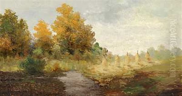 Norsk Efterarslandskab - view 1
