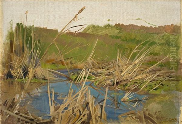 Wasser, Schilf Und Wiese (study) - view 1
