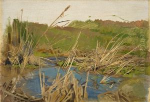 Wasser, Schilf Und Wiese (study)