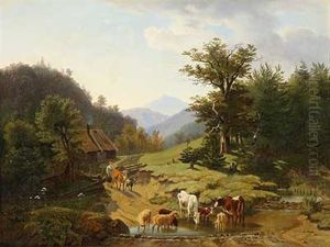 Vieh An Der Tranke In Den Sommerlichen Alpen
